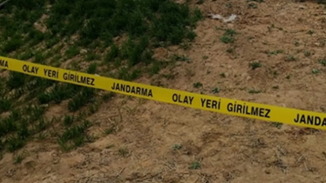 Mardin'de Şüpheli Ölüm