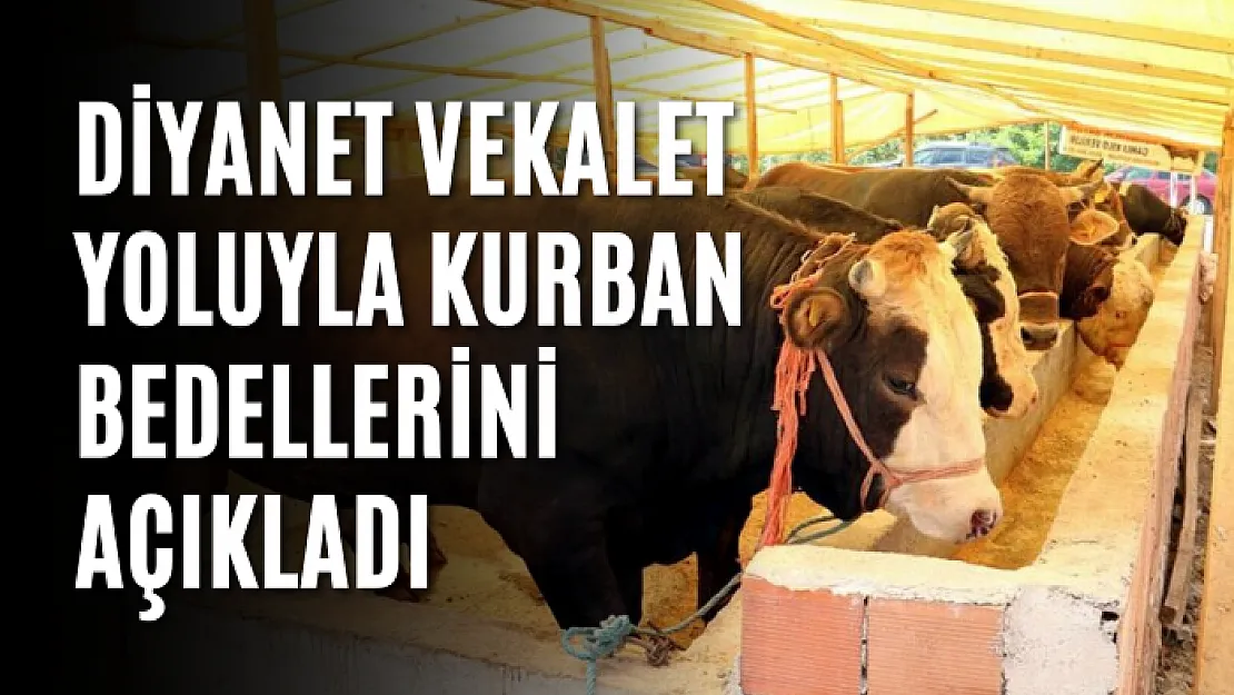 Diyanet vekalet yoluyla kurban bedellerini açıkladı