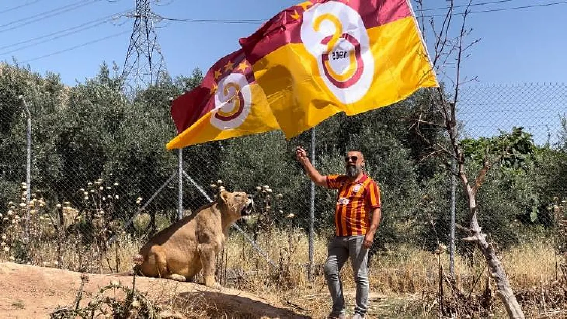 Diyarbakırlı taraftar, Galatasaray'ın 24. şampiyonluğunu aslanlarıyla kutladı