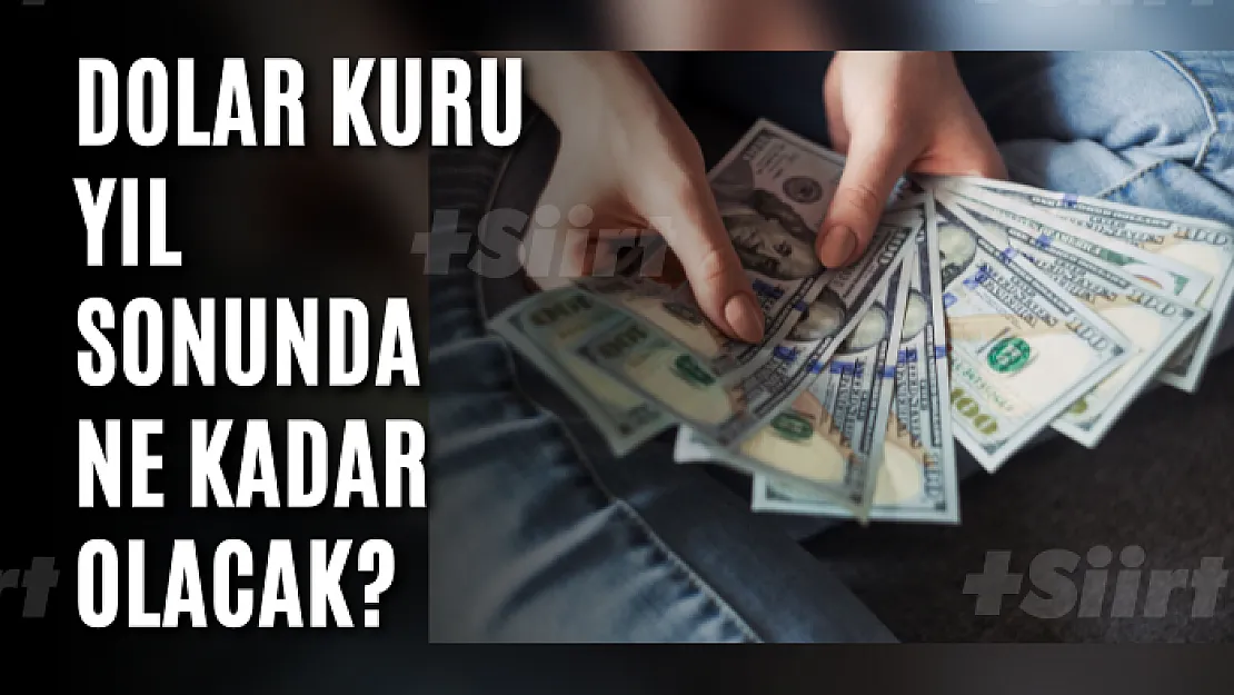 Dolar kuru yıl sonunda ne kadar olacak? Dev bankadan korkutan tahmin!