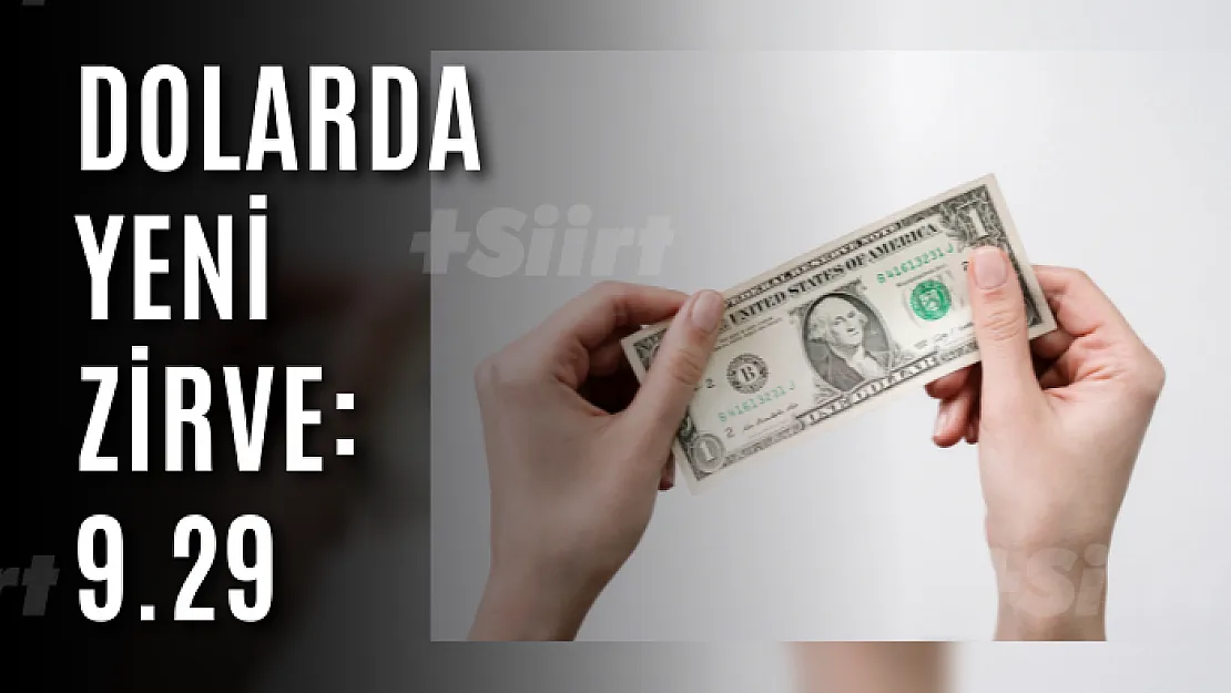 Dolarda yeni zirve: 2.29