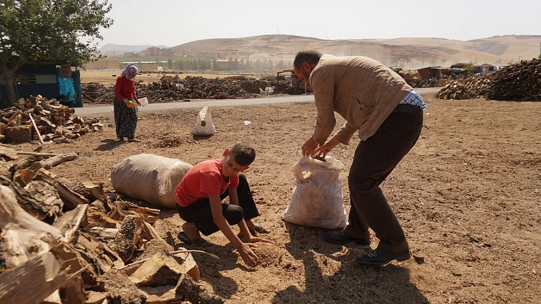 Siirt'te Odun Fiyatları El Yakıyor