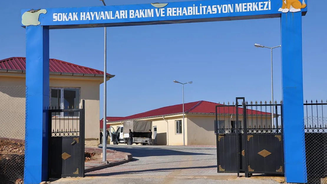 SİİRTLİLERİN BEKLEDİĞİ OLDU