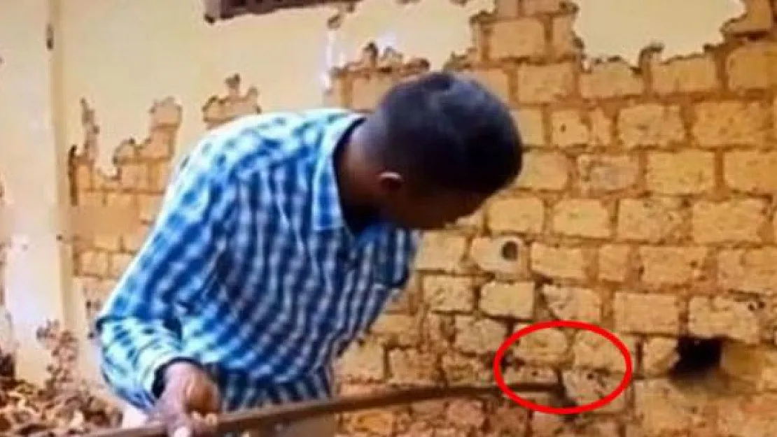Duvardan gelen seslere kayıtsız kalamayan adam gördüğü manzara karşısında dehşete düştü