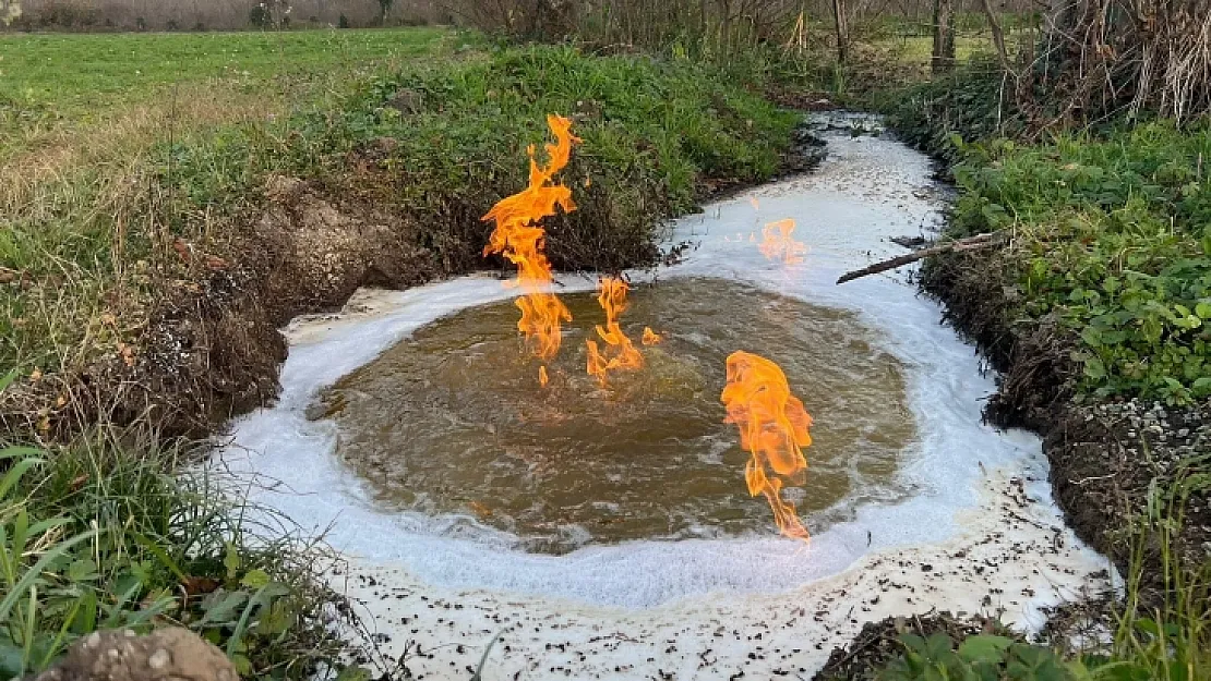 Düzce'deki depremin ardından yanmaya ve köpürmeye başladı