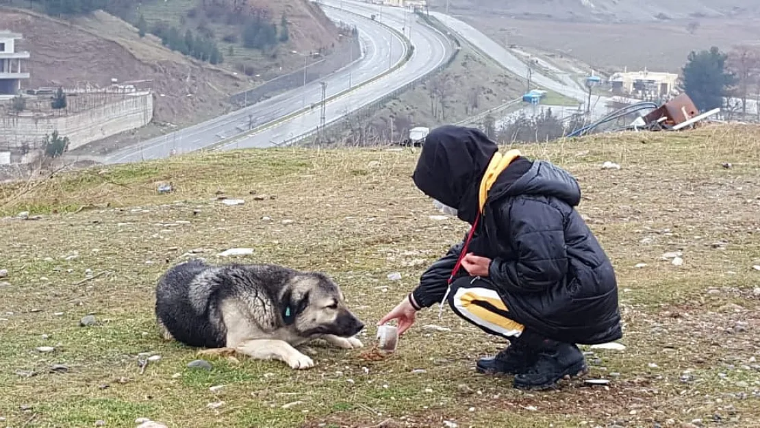 Sokağa çıkma yasağında sokak hayvanlarını unutmadılar