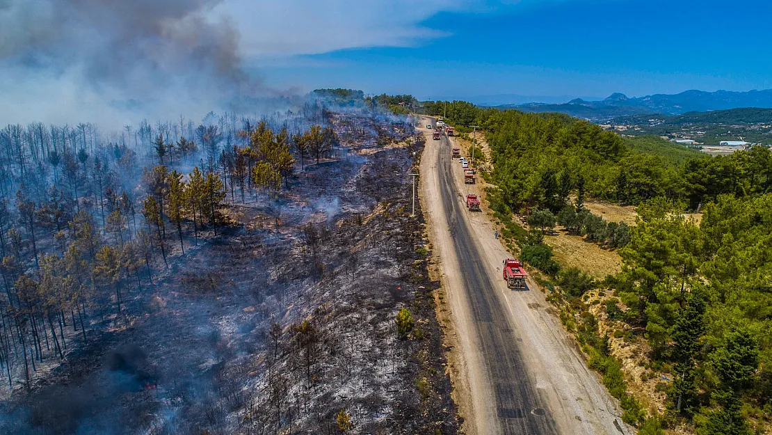 Orman ve kıyıların turizm yatırımcılarına açılmasına muhalefet red oyu vermemiş