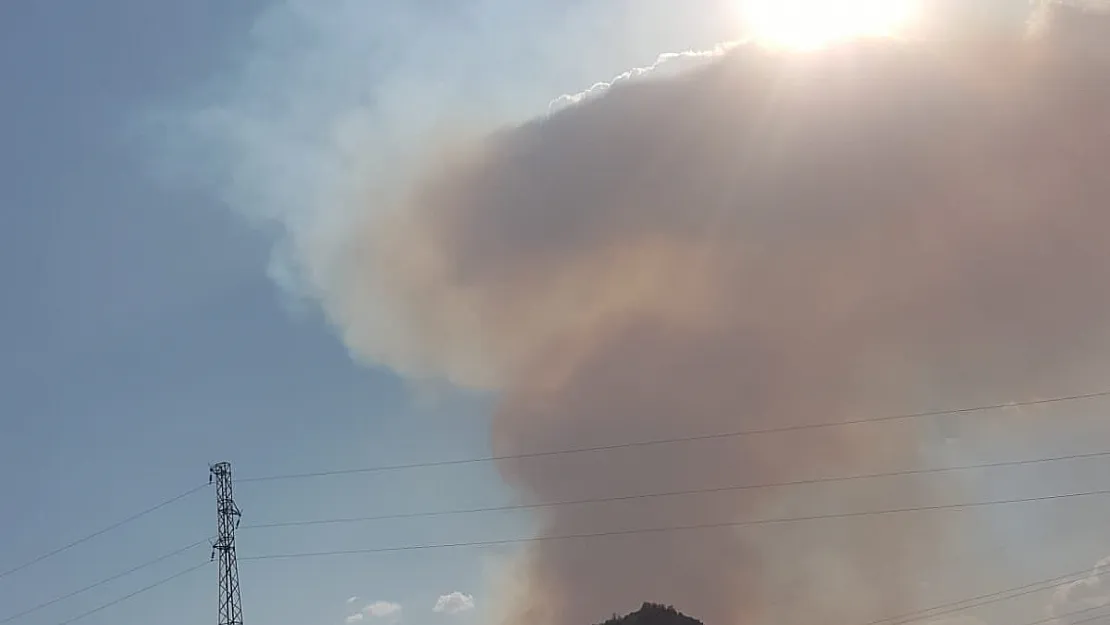 Tunceli'de Yangınlar Yayılıyor