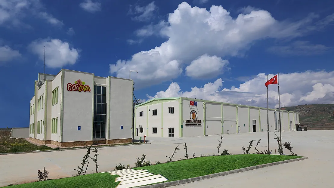 Siirt Fıstığı İşleme Tesisi Yetkilileri Devleti Zarara Uğrattı Mı?