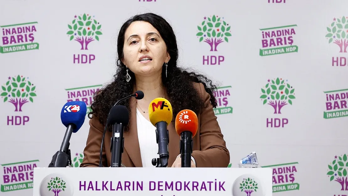 HDP Sözcüsü Ebru Günay: Her yere özel jetle giden iktidar yangın için iki uçak kaldıramıyor