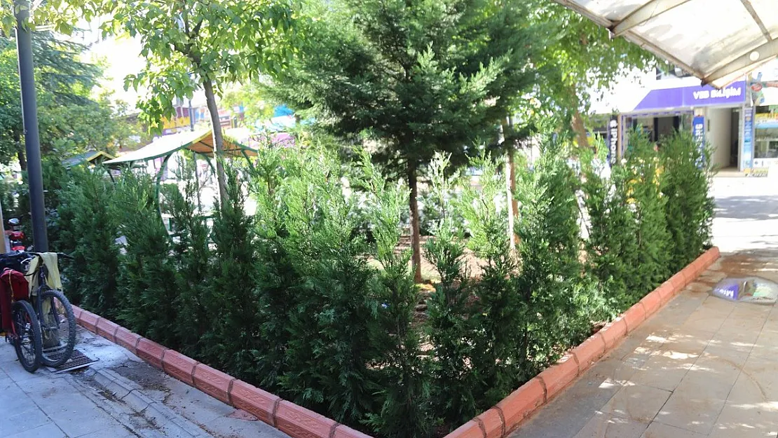 Güres Caddesi Yeşile Büründü