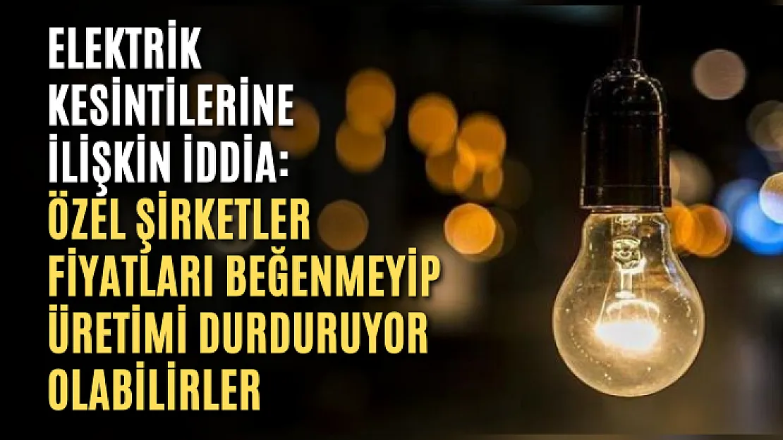 Elektrik kesintilerine ilişkin iddia: Özel şirketler fiyatları beğenmeyip üretimi durduruyor olabilirler