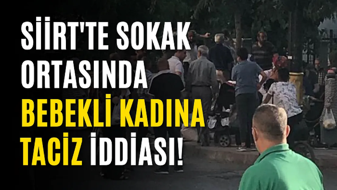 Siirt'te Sokak Ortasında Bebekli Kadına Taciz İddiası!
