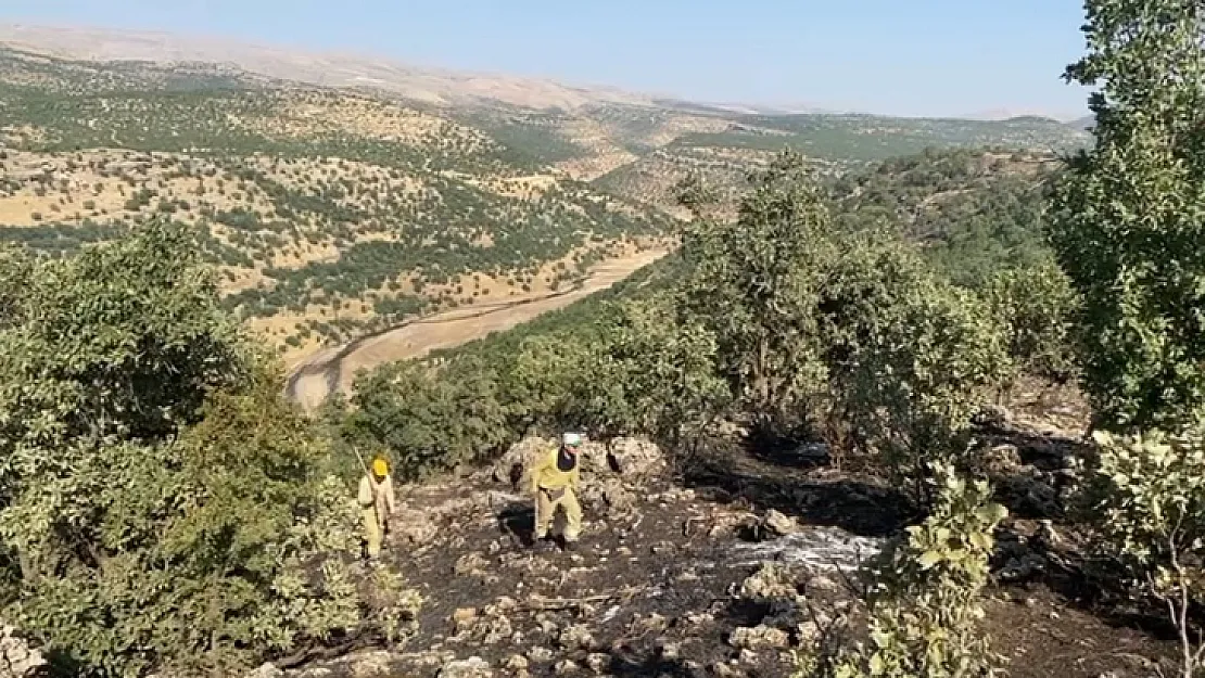 Eruh ve Pervari Arasında Dağlık Alanda Çıkan Yangın Orman İşletme Müdürlüğü Ekipleri Tarafından Söndürüldü