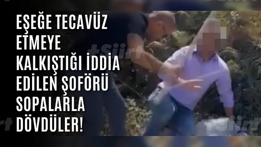 Eşeğe tecavüz etmeye kalkıştığı iddia edilen şoförü sopalarla dövdüler!