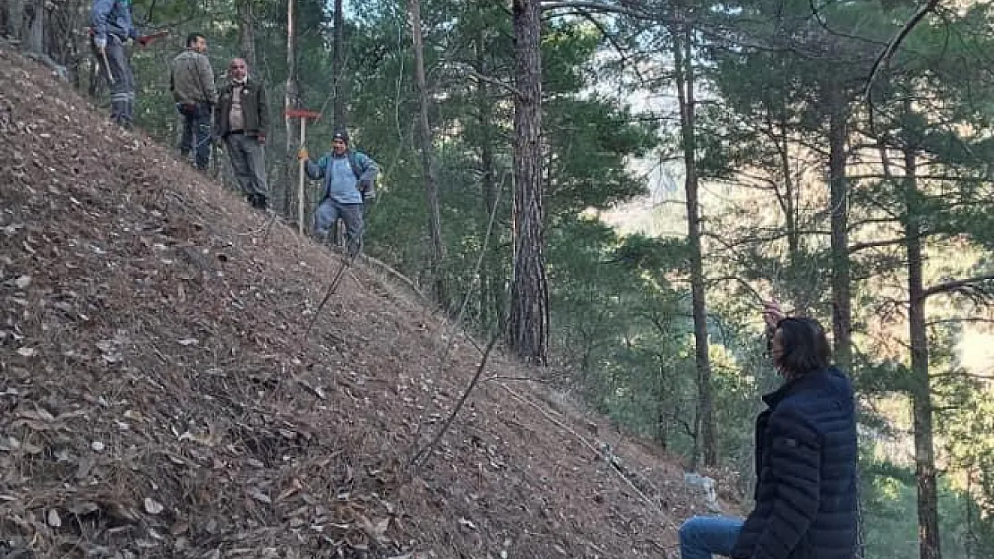 Siirt'te Yeni Orman Yolları Yapılacak