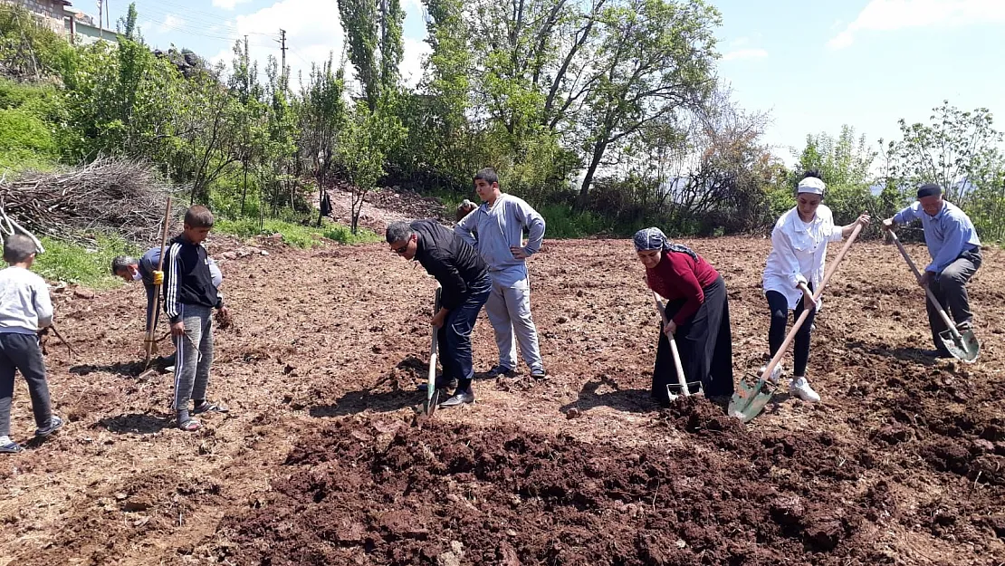 Baykan Belediyesi İhtiyaç Sahipleri İçin Ekolojik Tarım Yapacak