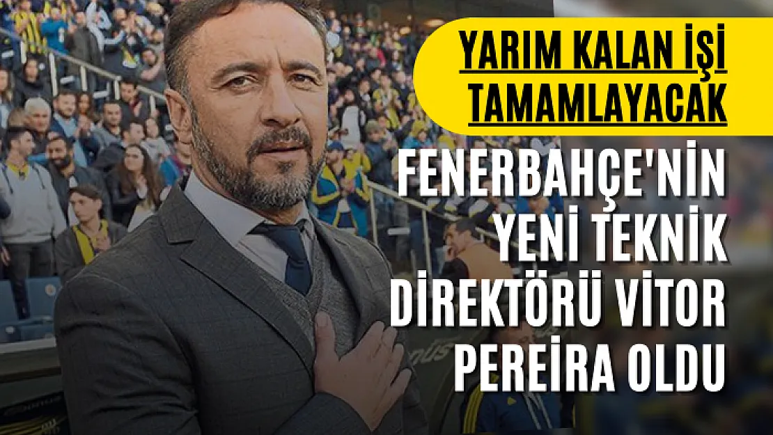 Fenerbahçe'nin yeni Teknik Direktörü Vitor Pereira oldu