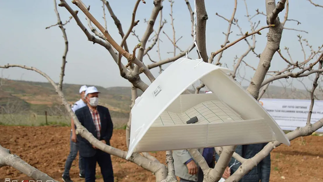 Siirt'te fıstık üreticilerine 2 bin 295 adet feromon tuzaklama dağıtıldı