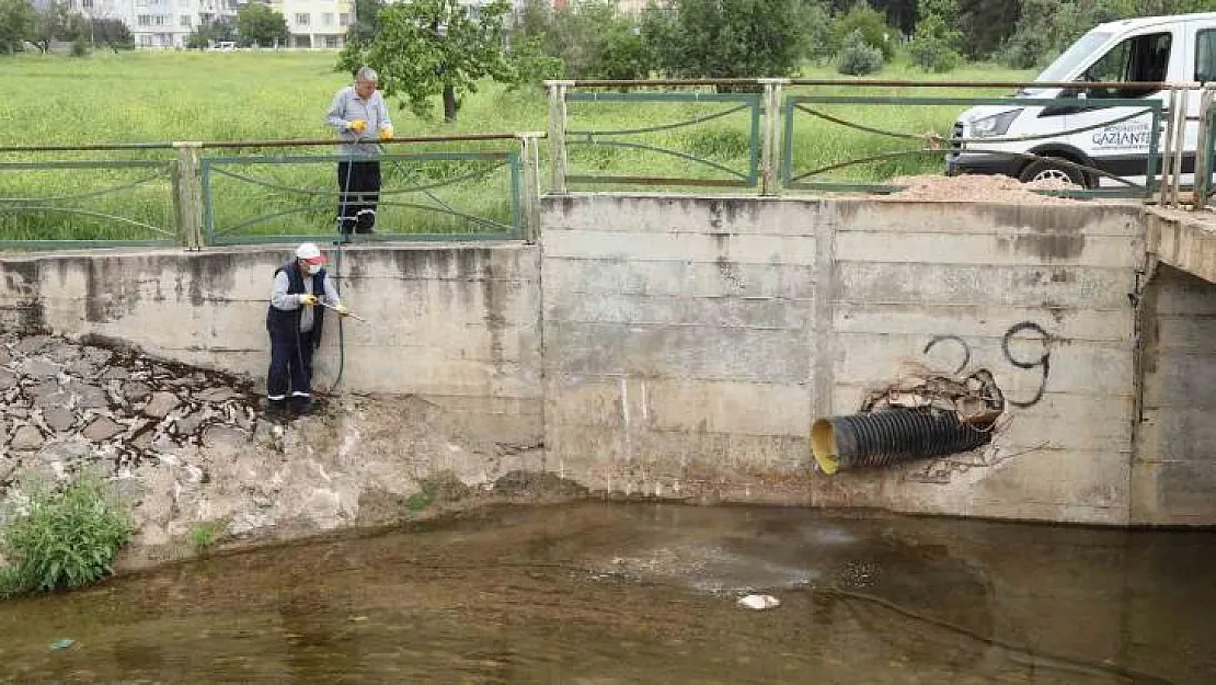 Gaziantep'te haşerelere karşı 165 bin noktada ilaçlama yapılıyor