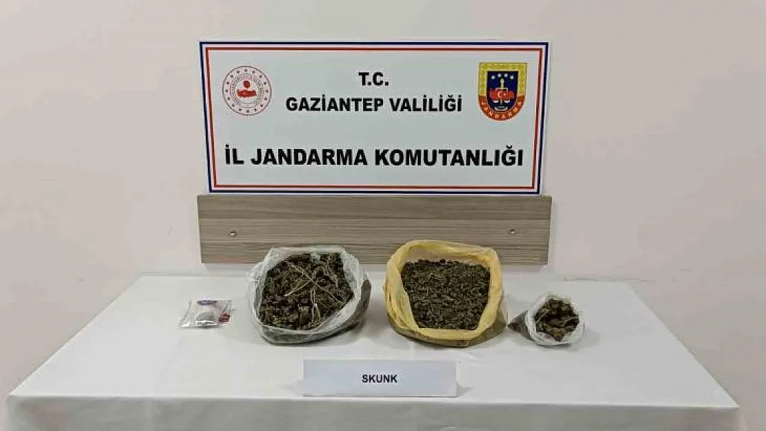 Gaziantep'te skunk operasyonu: 1 tutuklama