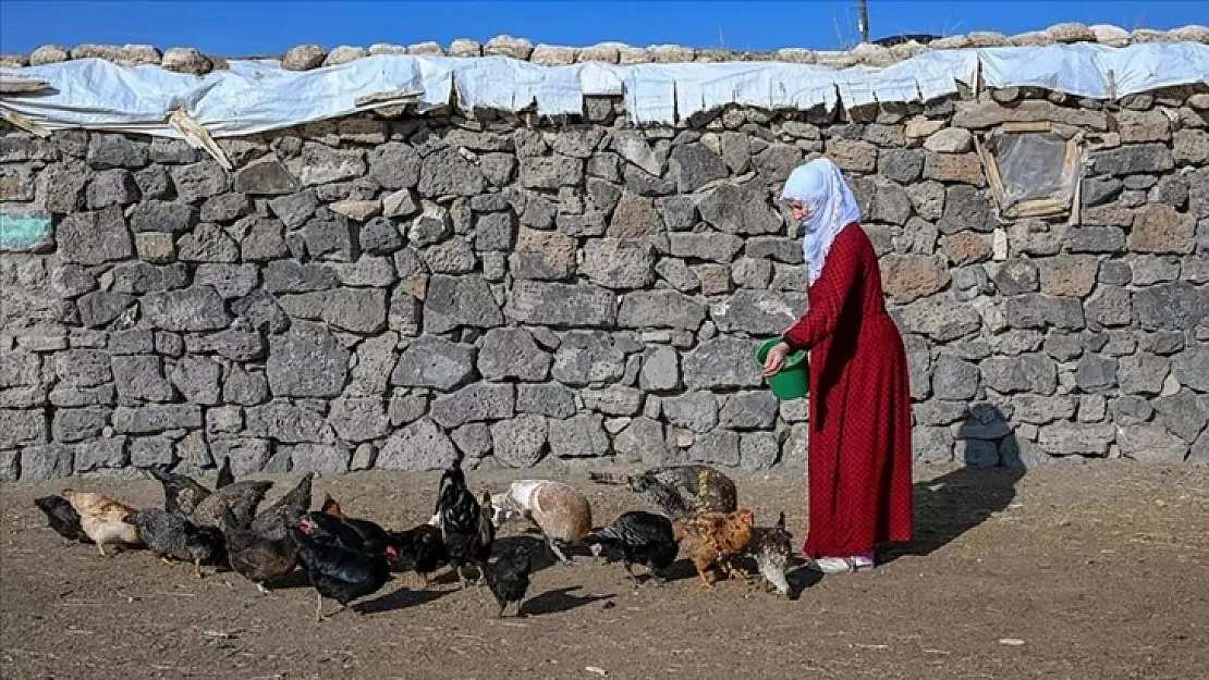 Geçen yılın en soğuk ilçelerinde bu yıl sıcaklıklar arttı: 'Yıllardır ilk kez kar yağmadı'