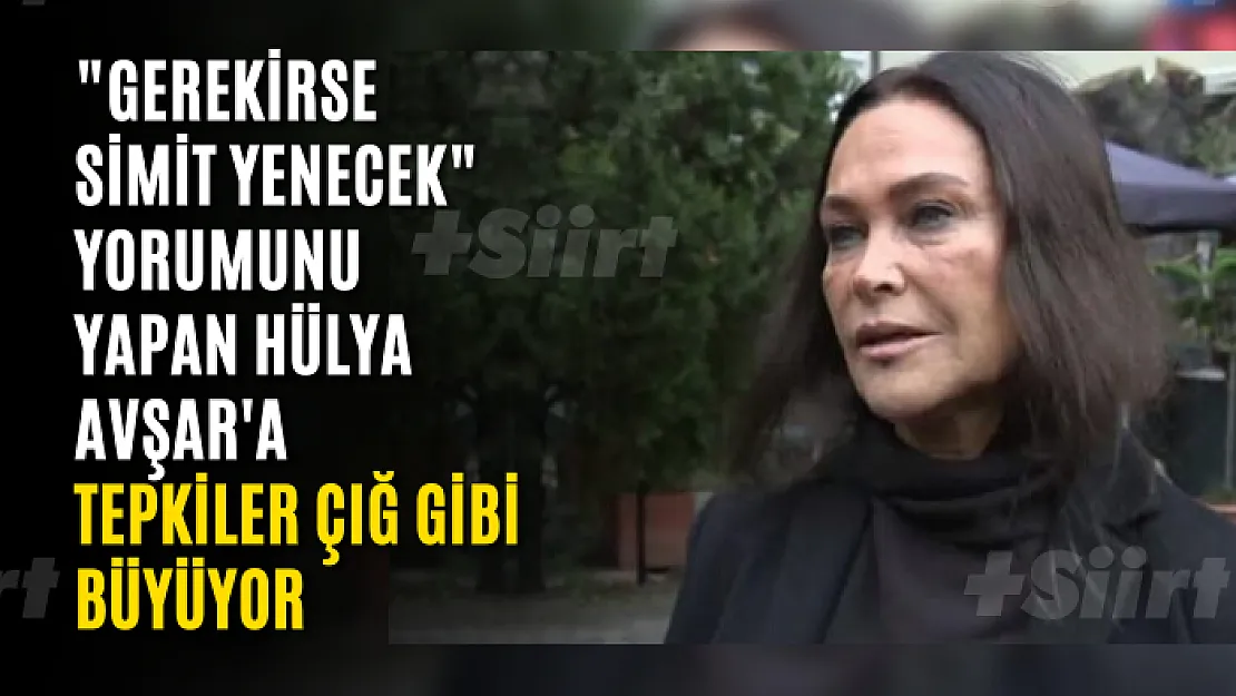 Türkiye ekonomisi hakkında 'Gerekirse simit yenecek' yorumunu yapan Hülya Avşar'a tepkiler çığ gibi büyüyor