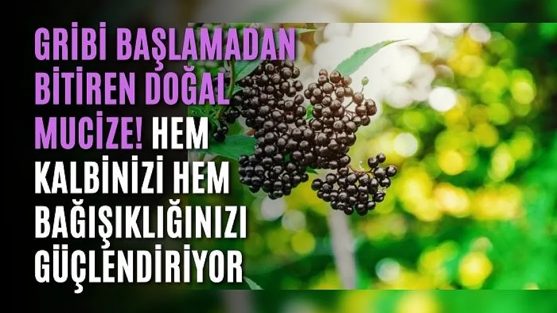 Gribi başlamadan bitiren doğal mucize! Hem kalbinizi hem bağışıklığınızı güçlendiriyor