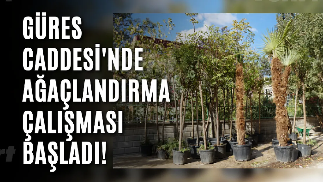 Güres Caddesi'nde Ağaçlandırma Çalışması Başladı