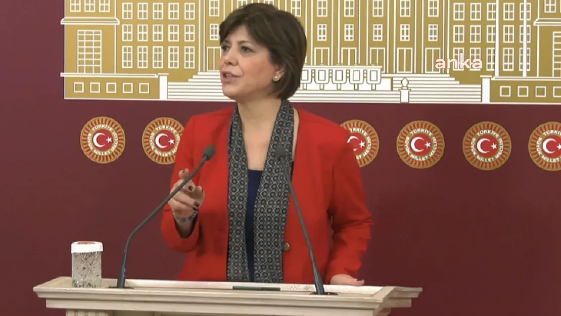 HDP Siirt Milletvekili Beştaş Rusya'nın Ukrayna Müdahalesine İlişkin Mecliste Açıklama Yaptı