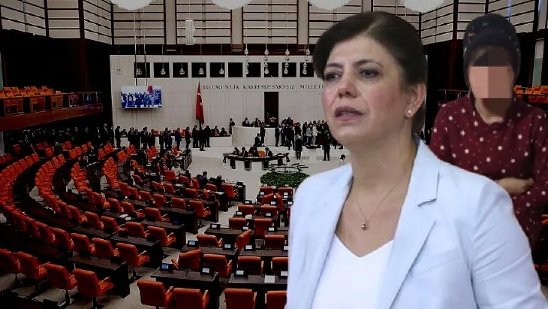 HDP Siirt Milletvekili Pervari'deki Cinsel İstismar Olayını Meclise Taşıdı