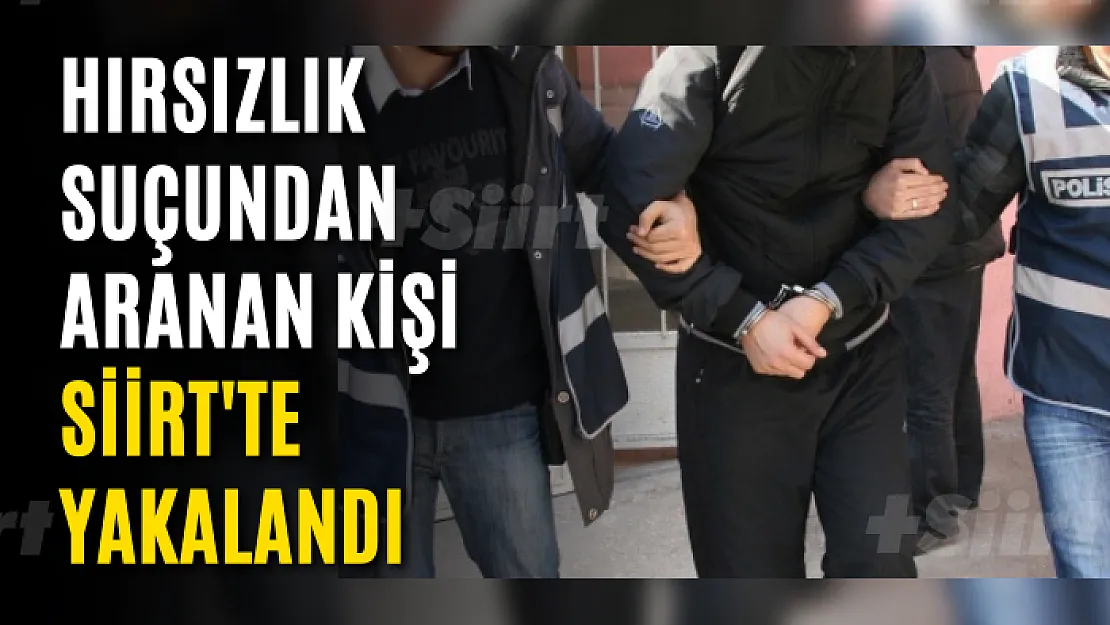 Hırsızlık Suçundan Aranan Kişi Siirt'te Yakalandı