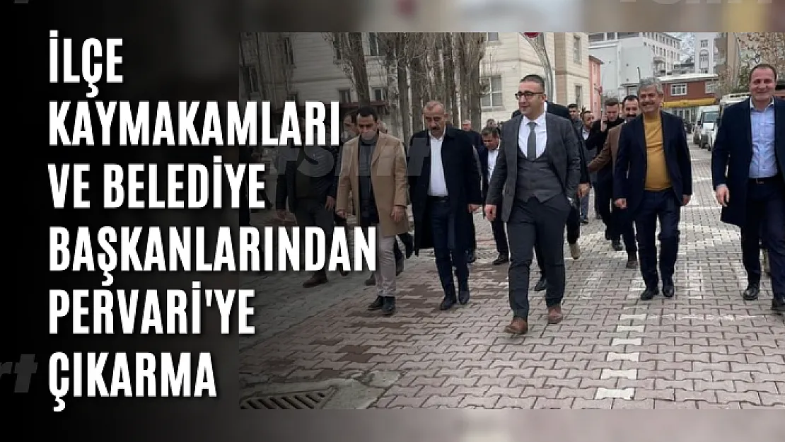 İlçe Kaymakamları ve Belediye Başkanlarından Pervari'ye Çıkarma