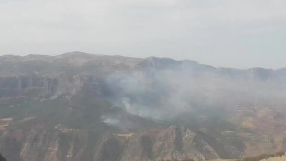 Siirt'te Orman Yangını Yeniden Başladı