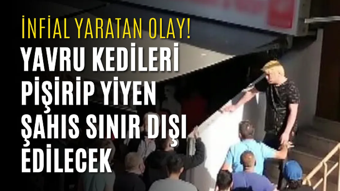 İnfial yaratan olay! Yavru kedileri pişirip yiyen şahıs sınır dışı edilecek