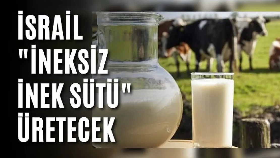 İsrail