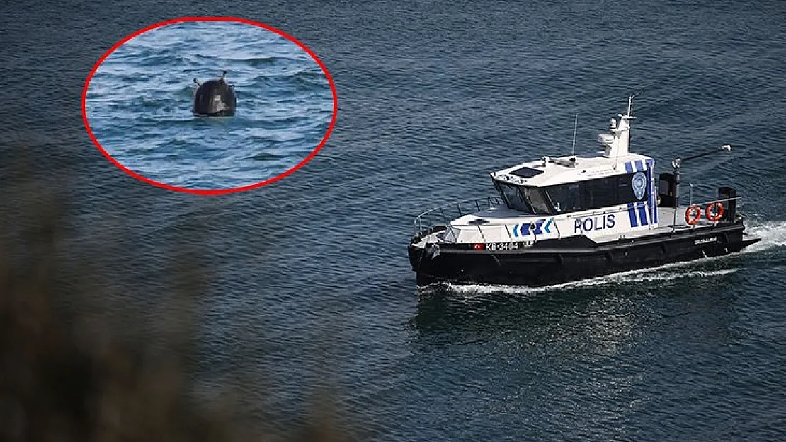 İstanbul Boğazı'ndaki mayın alarmı sonrası Karadeniz'de balık avlamak yasaklandı