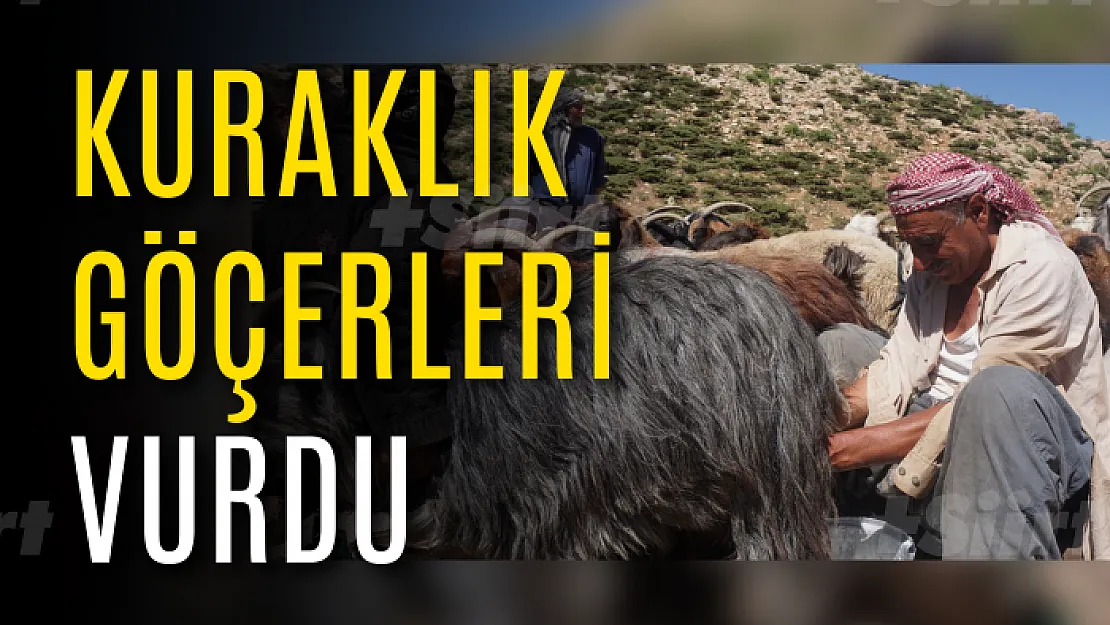 Siirt'te Kuraklık Göçerleri de Vurdu!