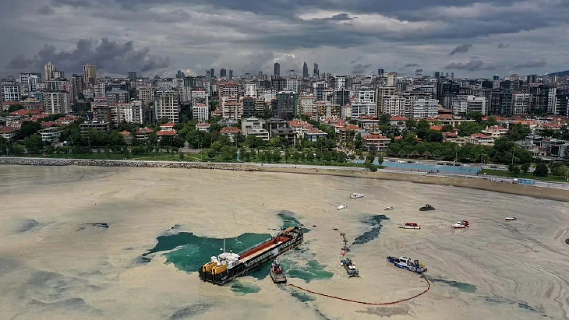 İşte 2021 yılının ödüllü basın fotoğrafları