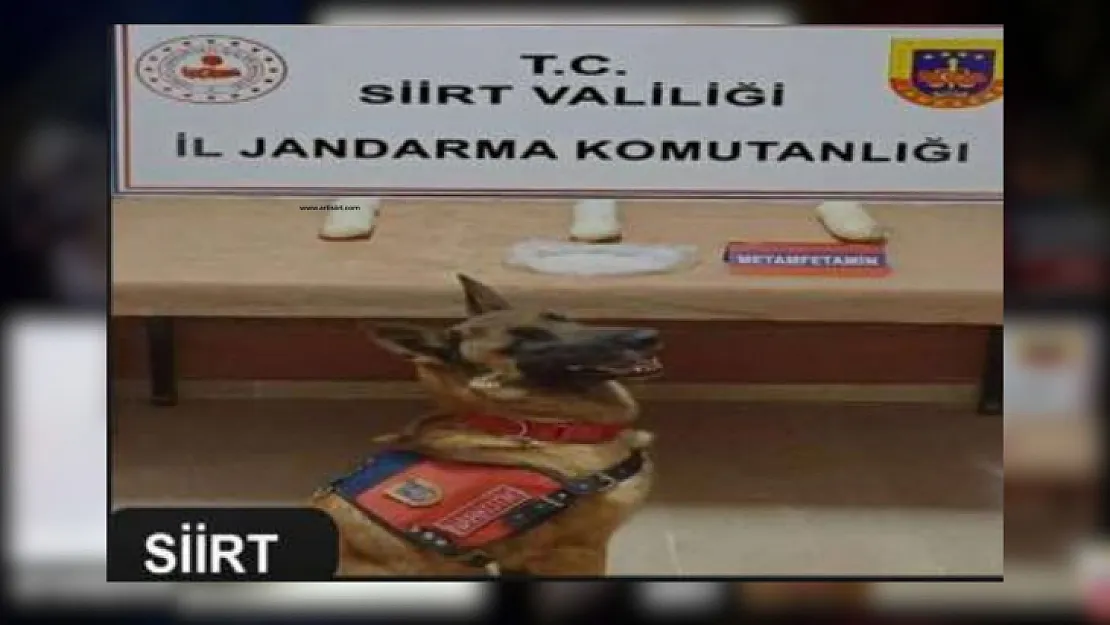 Jandarma Operasyonlarıyla Diyarbakır, Mardin ve Siirt'te Uyuşturucu Ele Geçirildi