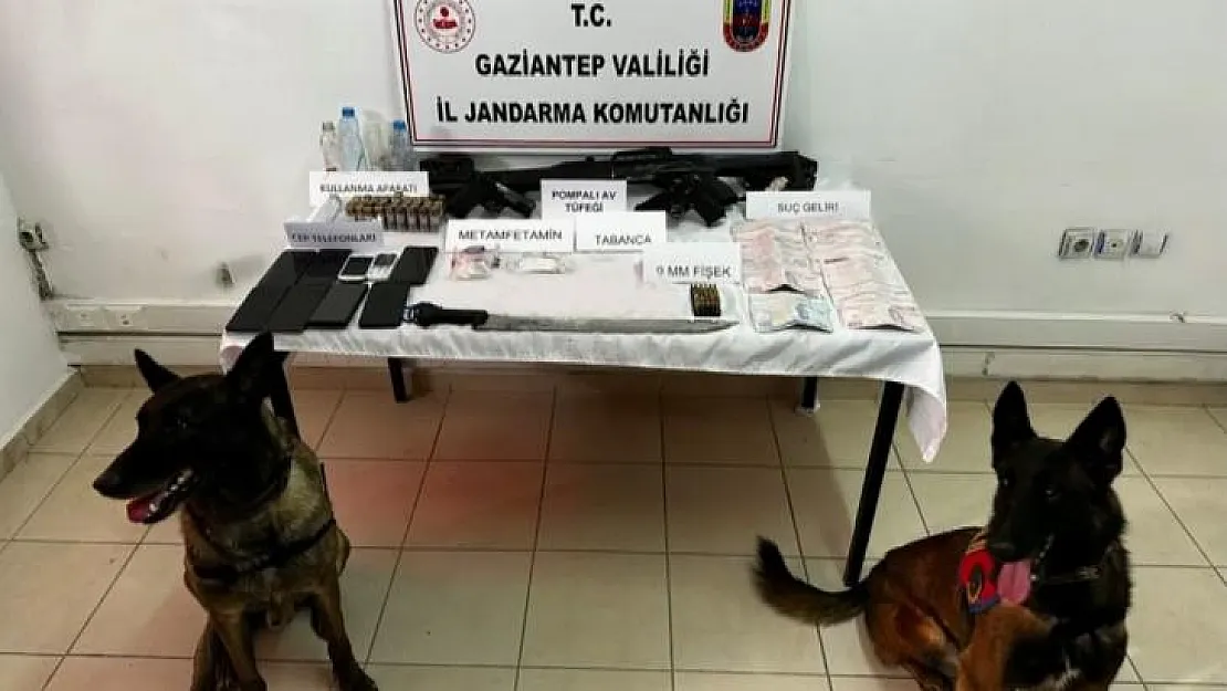 Jandarmadan Çobanlar Çetesi operasyonu: 6 gözaltı