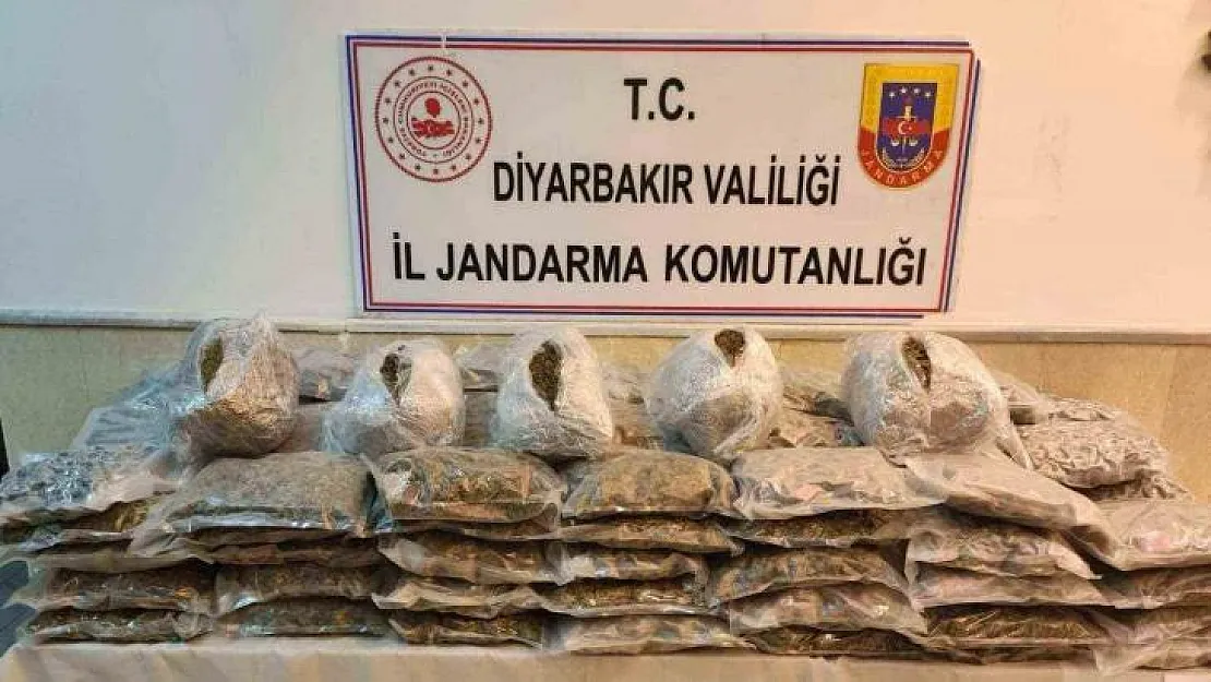 Jandarmanın durdurduğu araçta satışa hazır 67 kilo esrar ele geçirildi