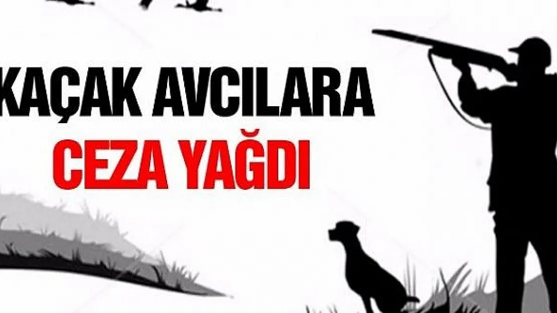 Kaçak Avcılara Ceza Yağdı