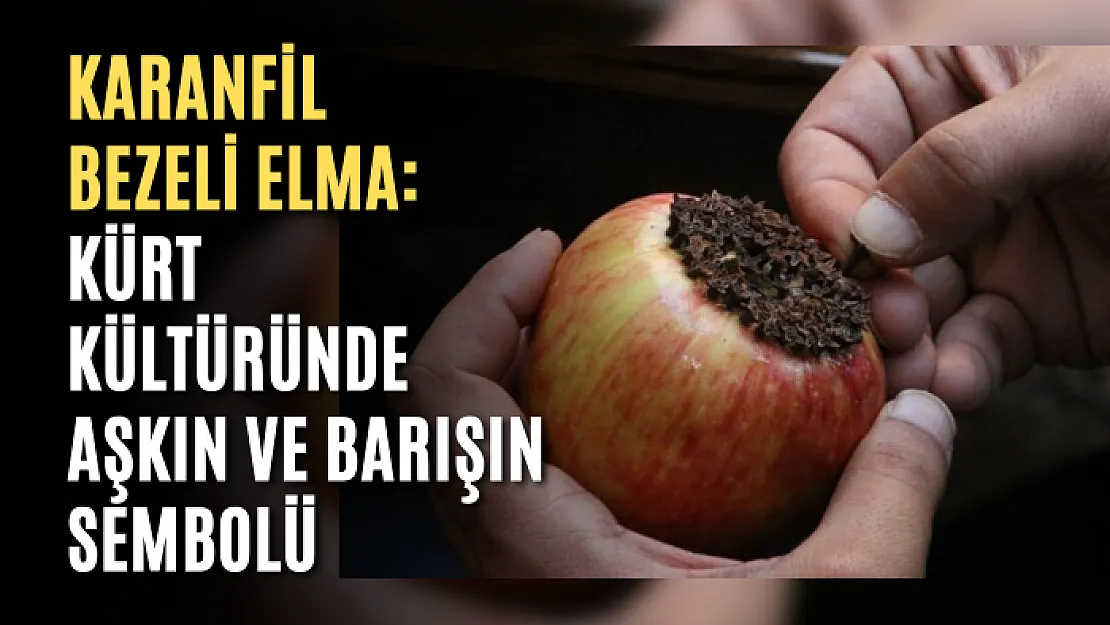 Karanfil Bezeli Elma: Kürt kültüründe aşkın ve barışın sembolü