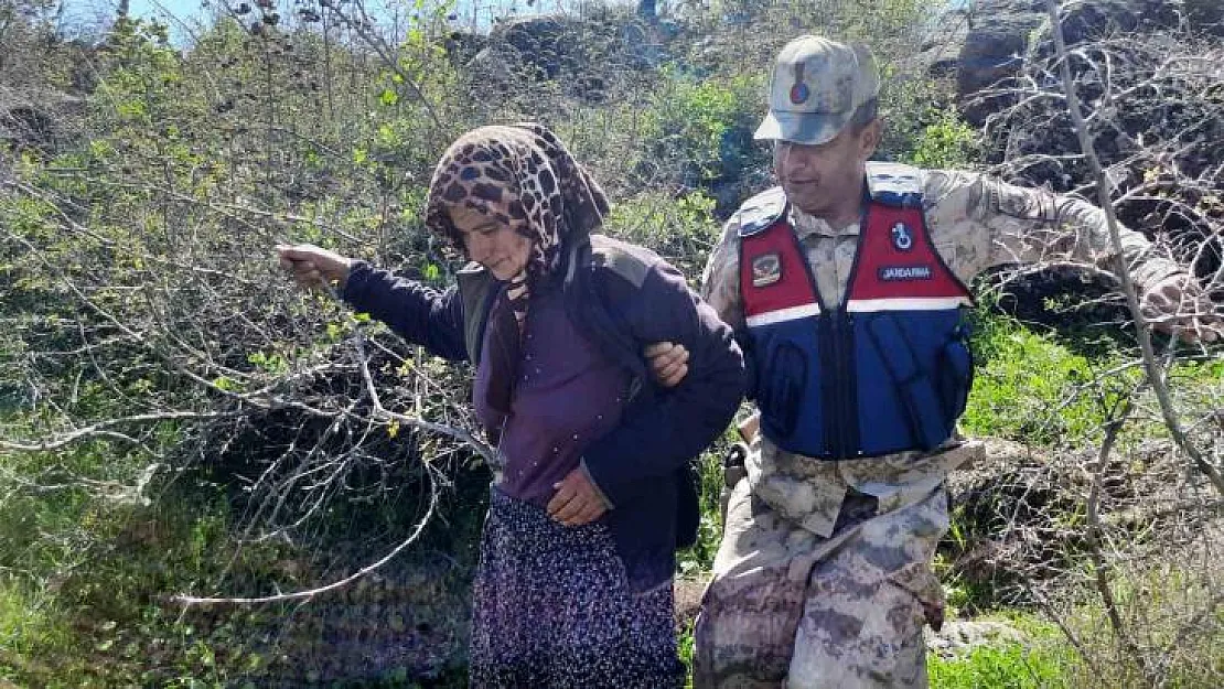 Kaybolan kadın jandarma destekli arama çalışmalarıyla bulundu