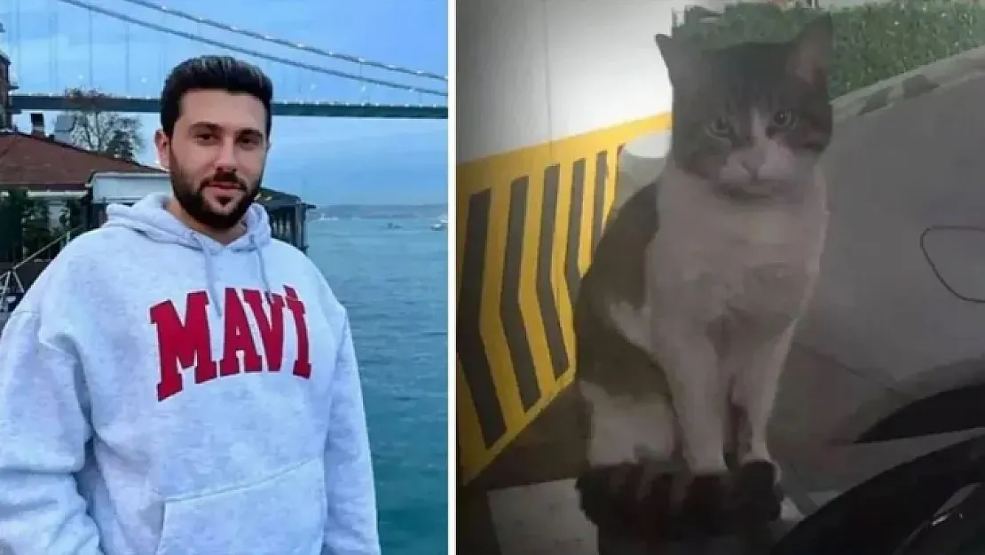 Kedi Eros'un katili İbrahim Keloğlan'a 2 yıl 6 ay