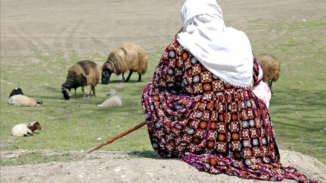 Kendini En Yalnız Hisseden Bölge Güneydoğu Anadolu Oldu!