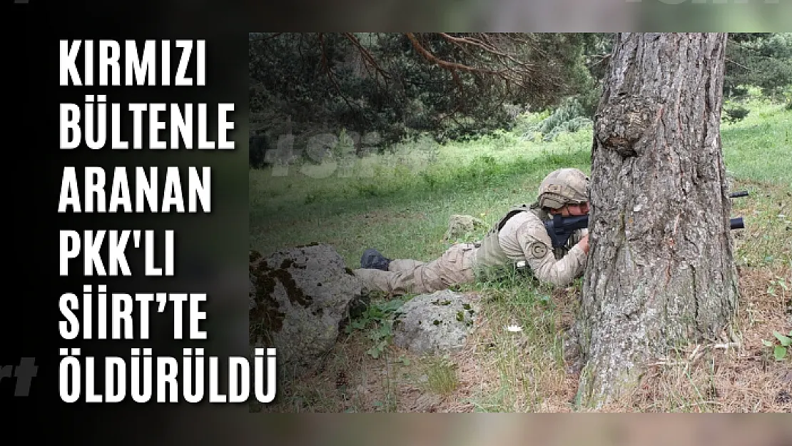 Kırmızı Bültenle Aranan PKK'lı Siirt'te Öldürüldü