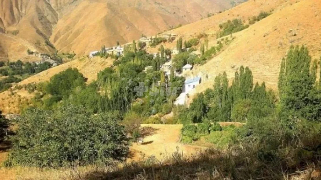 Komşu ilimizde çobanların yayla kavgası: 7 kişi yaralandı