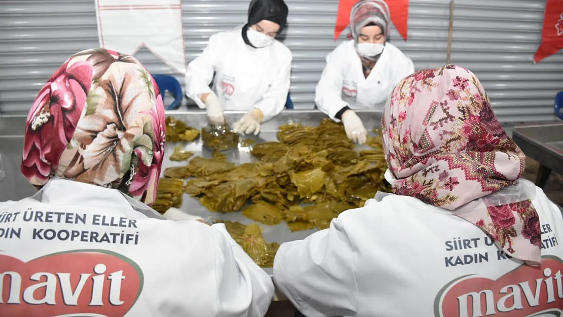 Kooperatiflere 1 Milyon TL'ye Kadar Hibe Desteği! Başvurular Başladı